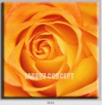 /album/photo-gallery-canvas-uri/decoratiuni-de-perete-canvas-lc-0016-jpg/